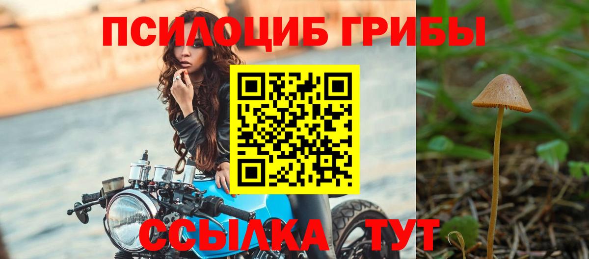 Галлюциногенные грибы Psilocybe  Вход с VPN  Бирск 