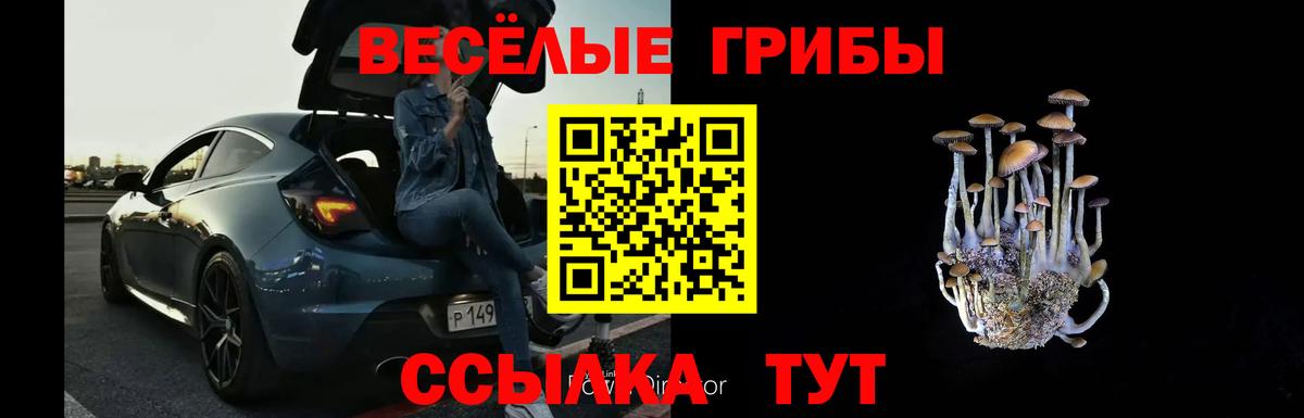 Галлюциногенные грибы мицелий Бирск
