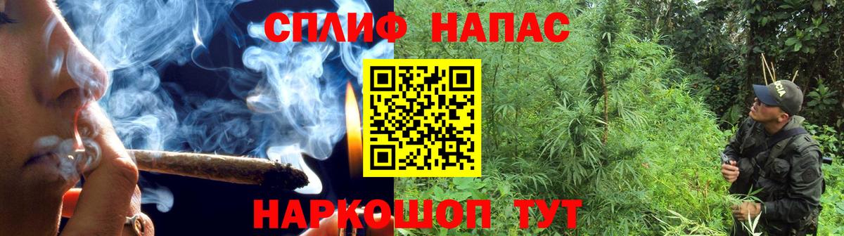 Шишки марихуана Amnesia Бирск